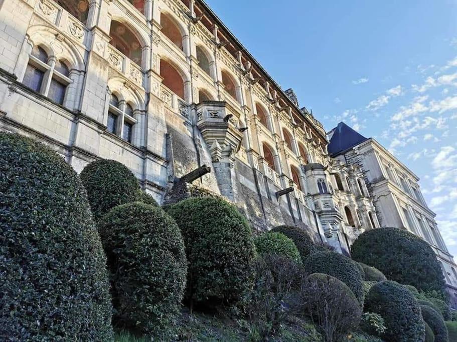 Loft De 53 M2 Centre Ville Blois,Tv Zewnętrze zdjęcie
