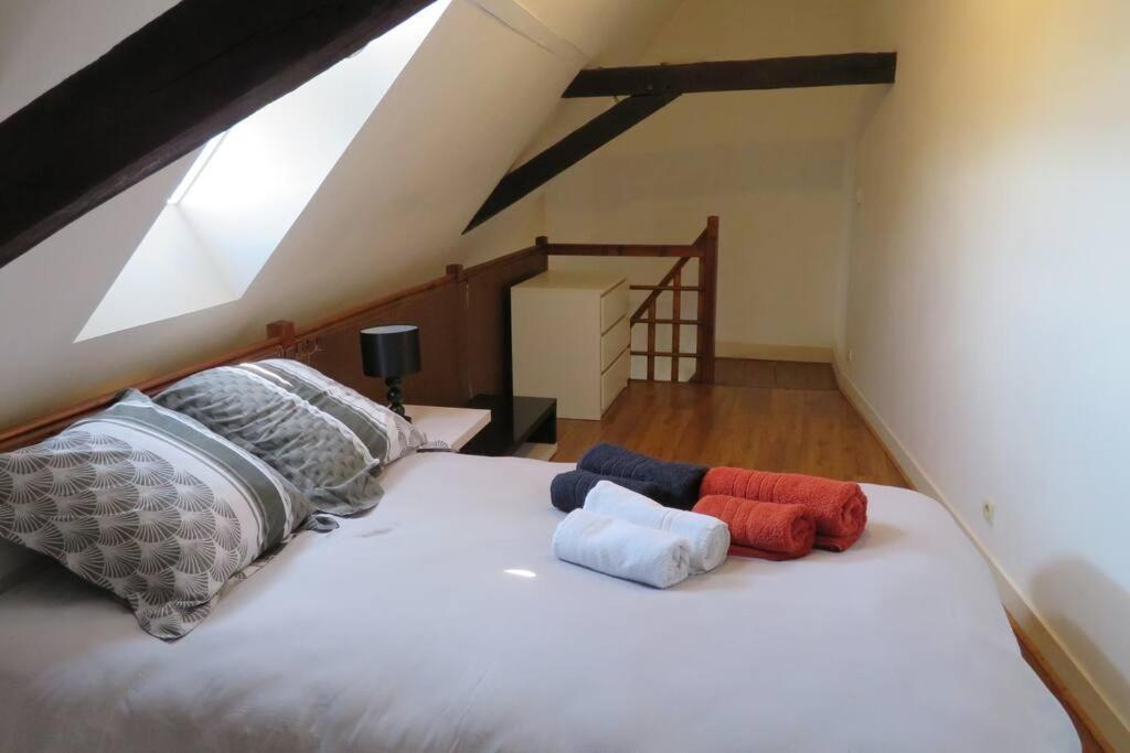 Loft De 53 M2 Centre Ville Blois,Tv Zewnętrze zdjęcie